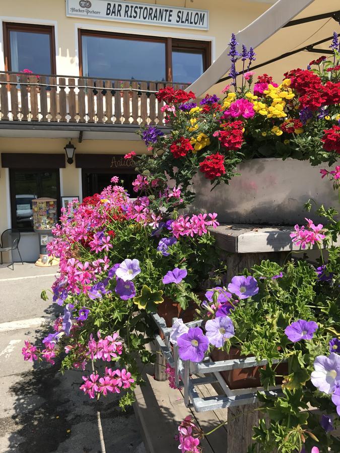 Albergo Slalom Belluno Exterior foto